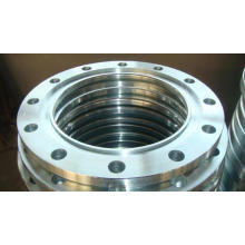 1.4401 Flange de Aço Inoxidável AISI 316 Flange de Aço Inoxidável